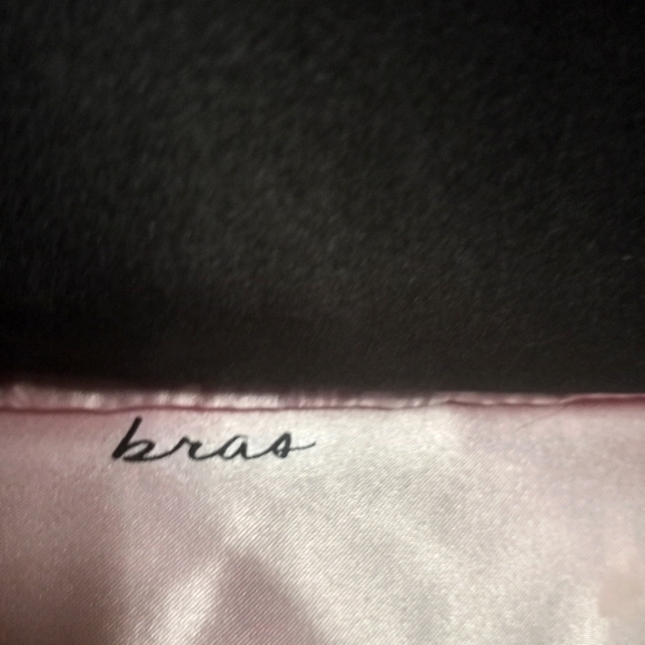 Victoria's Secret Undies and Bra Travel Case with Zip Pouch - Picture 6 of 7